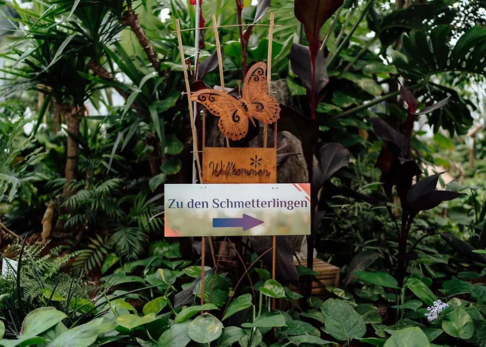 פארק נופש Schlaffass - Schlafen Im Holzfass